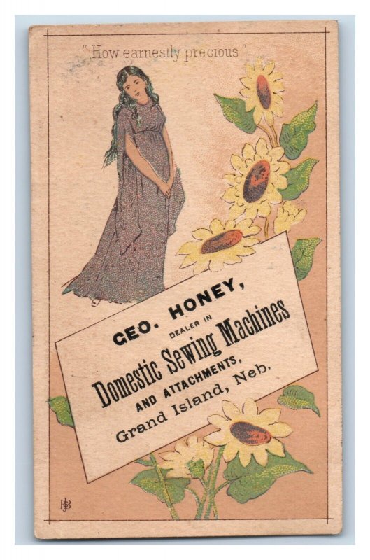 1880s Geo. Honey Domestic Sewing Machine Grand Island Nebraska Sunflowers P185