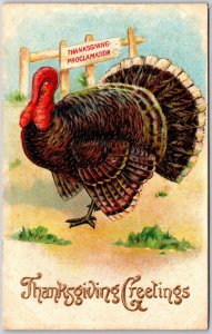 Thanksgiving Proclamation Greetings Turkey Embossed Back Postcard