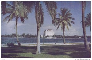 Hotel, Palms, Lake, PALM BEACH, Florida, 40-60's