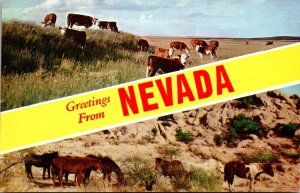 Nevada Greetings From Nevada