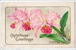 Greeting - Christmas    (crease)