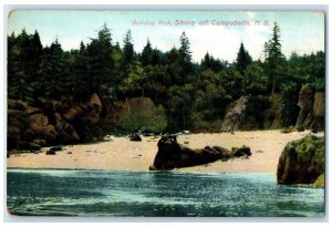 c1910 Bull-Dog Rock Shore off Campobello New Brunswick Canada Unposted Postcard