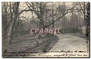 Paris - 6 - Garden of Luxembourg - A Picturesque Allee - Old Postcard