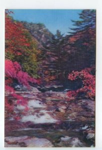 484288 Korea Suryuhwage Mt. Kumgang-san lenticular 3D postcard