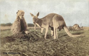 c1910 Postcard Girl w/ Long Hair Hand feeds Kangaroo, The Favourite, Australia