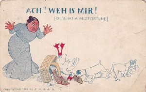 Ach! Weh Is Mir! Oh What A Misfortune 1905 UDB Postcard E30