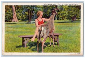 c1940 Feeding Pet Deer Bill Silver Springs Florida FL Vintage Antique Postcard