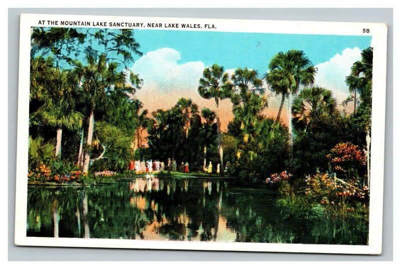 Vintage 1920's Postcard Swimmers at Mountain Lake Sanctuary Lake Wales Florida