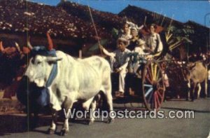 Adorned Oxcart, Plleras & Montunos, Parade Panama Interior Panama Unused 