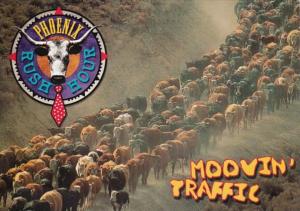 Arizona Phoenix Rush Hour Cattle Drive