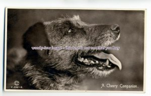 an0822 - A Cheery Companion Nothing can Compare to a Dogs Love - Postcard