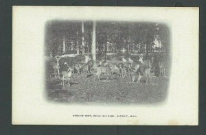 Ca 1906 PPC Detroit Mi Herd Of Deer Belle Isle Park Mint UDB