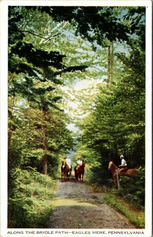  Postcard PA Eagles Mere South Side Horses - Along the path - pc