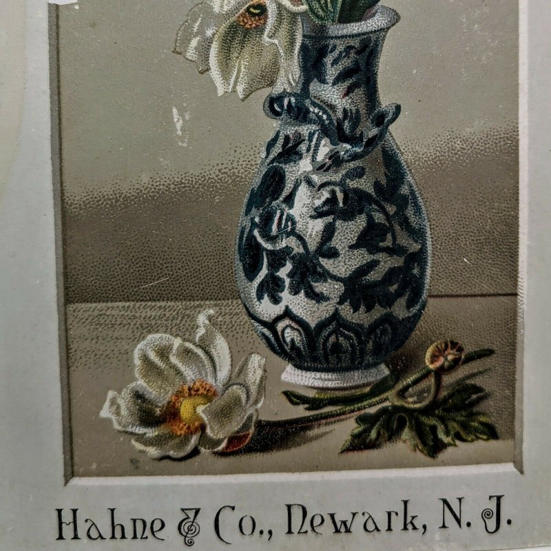 Unique Antique 1880s Hahne & Co. Compliments TRADE CARD Framed Dying Flower Vase