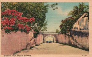 Vintage Postcard 1920's View of  Gregory Arch Nassau Bahamas