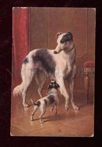 3013129 JACK RUSSELL TERRIER & BORZOI by REICHERT vintage PC