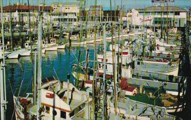 California San Francisco The Fishing Fleet