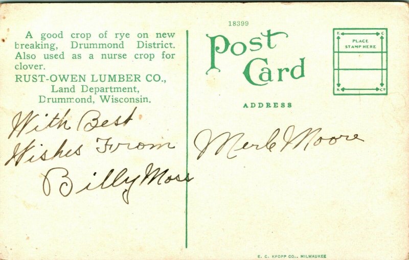 Rye Field Drummond District RustOwen Lumber Co Drummond WI 1910s Postcard UNP United States