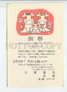 450964 JAPAN 1997 year POSTAL stationery cows and calf advertising