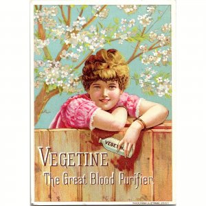 Vegetine ~ The Great Blood Purifier ~ Lovely Lady ~ Antique Victorian Trade Card