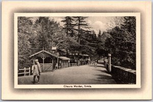 Chaura Maidan Shimla Himachal Pradesh India Roadway Trees Antique Postcard