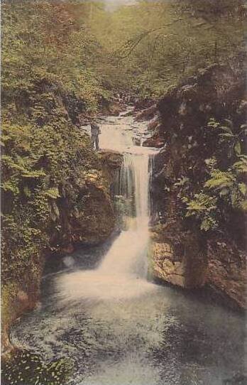 Germany Baden Baden Gerolsauer Wasserfall