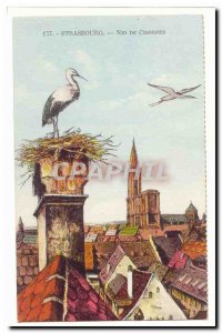 Strassburg Old Postcard Storks nest