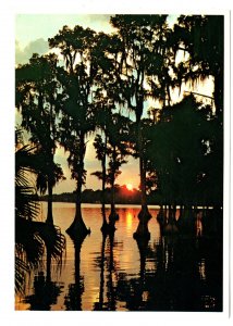 Sun Coast Post Cards, Largo, Florida