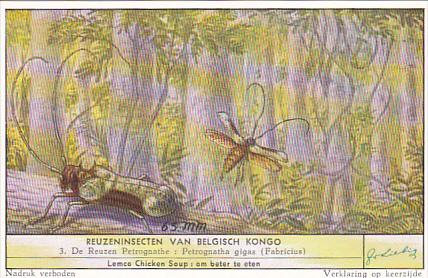 Liebig S1644 Large Insects Of The Belgian Congo No 3 Dragon Fly