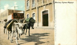 Postcard Mexican Express Wagons Guy Walking with Laden Burros Arthur Kline & Co