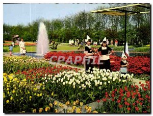 Postcard Modern Flowers in Holland Finery