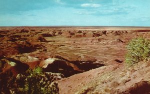 Painted Desert Arizona Beside Rim Drive Petrified Forest AZ Vintage Postcard