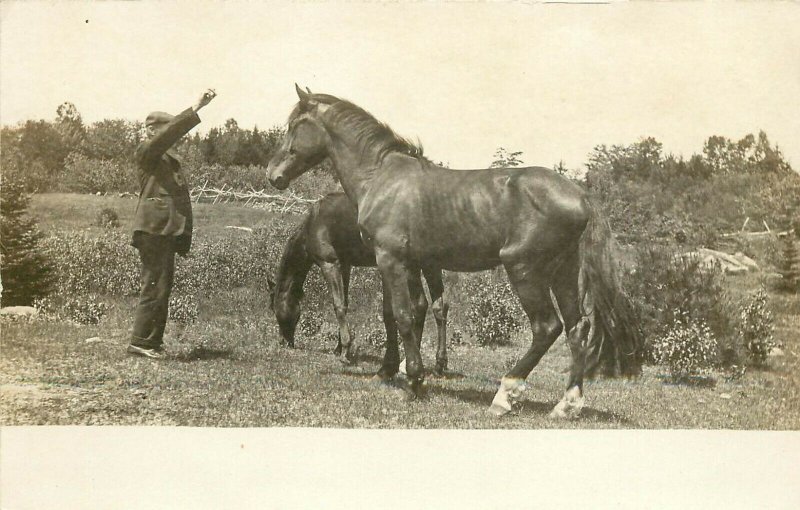 c1907 RPPC Horse Postcard; Man & His Mare with her Colt, Unknown US