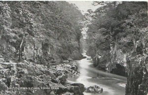 Wales Postcard - Bettws-y-Coed - Fairy Glen - Caernarvonshire - Ref TZ6215