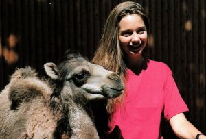 CONTINENTAL SIZE POSTCARD BABY BACTRIAN CAMEL AT CATSKILL GAME FARM NEW YORK