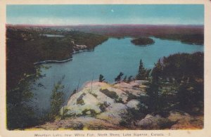 Mountain Lake White Fish North Shore Superior Canada Old Postcard