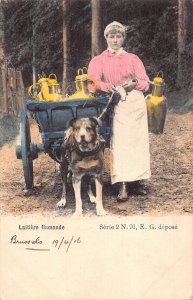 Belgium 1906 Laitiere flamande Flemish Milk Maid Mastiff Dog postcard B915
