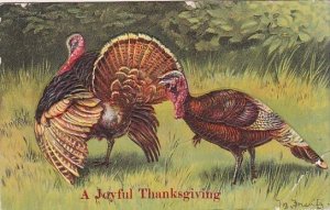 Joyful Thanksgiving With Pair Of Turkeys 1907