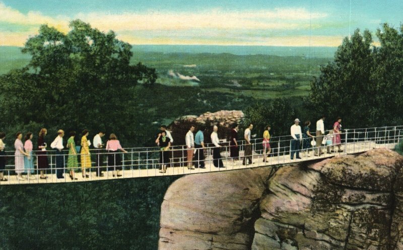 Vintage Postcard Swing Along Bridge Rock City Gardens Lookout Mountain Georgia