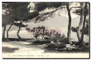 Old Postcard Cap Martin and Meton Sous Bois