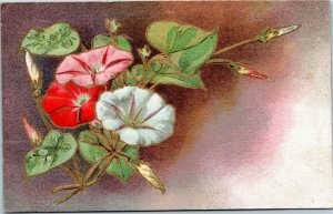 embossed floral postcard petunias Diamond Series posted 1909 Rutland VT