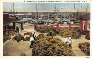 A Fine Lot of Sponges At Sponge Exchange Tarpon Springs FL