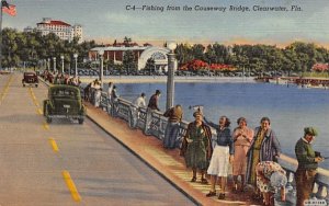 Fishing from the Causeway Bridge Clearwater, Florida  