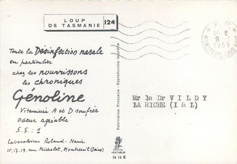 Photo Postcards Animals wolves wolf  hyena jackal x 4