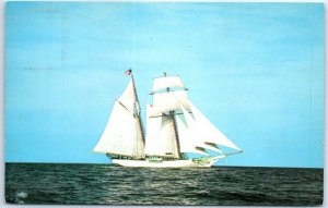 Postcard - Shenandoah, Coastwise Packet Co. - Vineyard Haven, Massachusetts