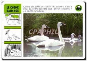 Map The Swan Wild Bird WWF