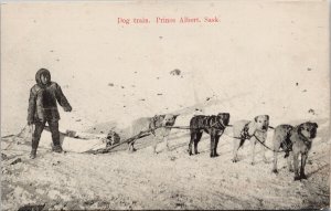 Prince Albert SK Dog Train Sled Dogs Unused Montreal Import Postcard G83