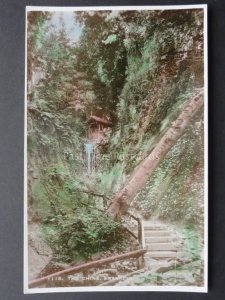 Isle of Wight: The Chine SHANKLIN - Old RP Postcard by E.A.S. No.1115