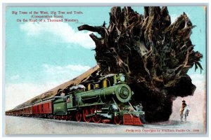 1912 Big Trees Of The West Big Tree And Train Los Angeles California CA Postcard 