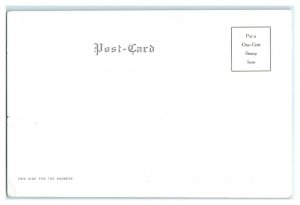 Waupaca Co. Insane Asylum, Weyauwega, WI Postcard *7G5